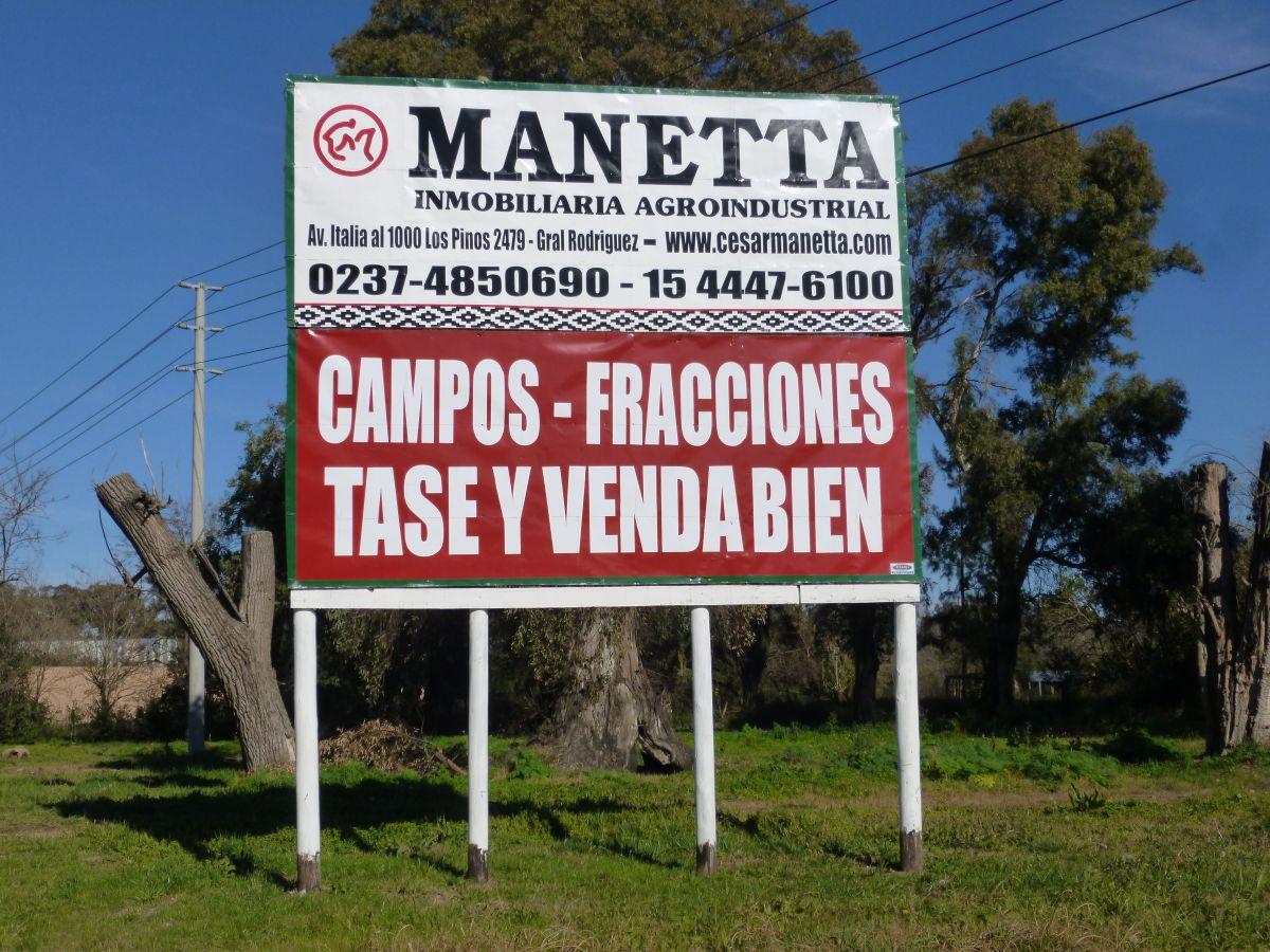 Foto de Campo 13 hectáreas, excelente tierra ideal quinta de verduras a 500 metros de ruta 5 ex ruta 7, imagen 4