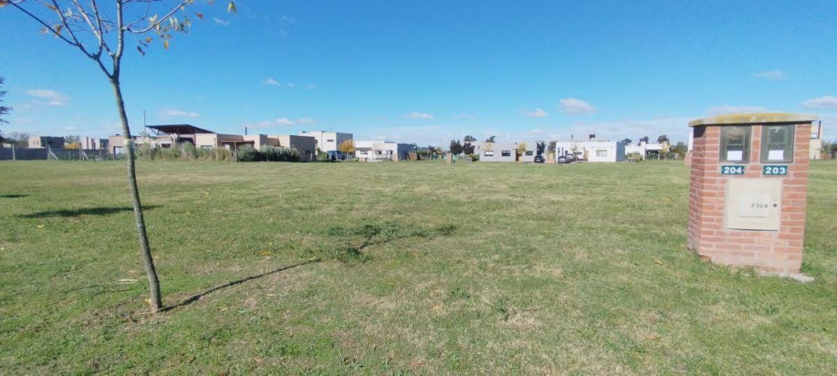 Santo Tomás - Lote 204