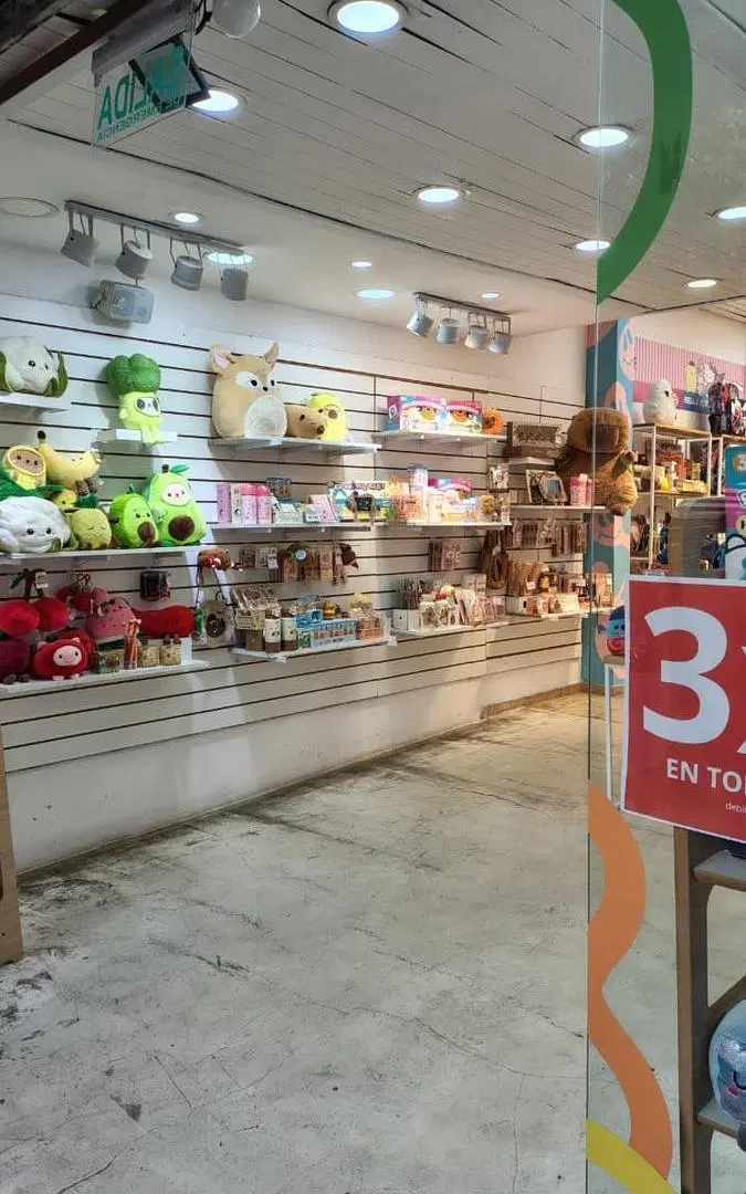 Amplio local en Bernal centro 3