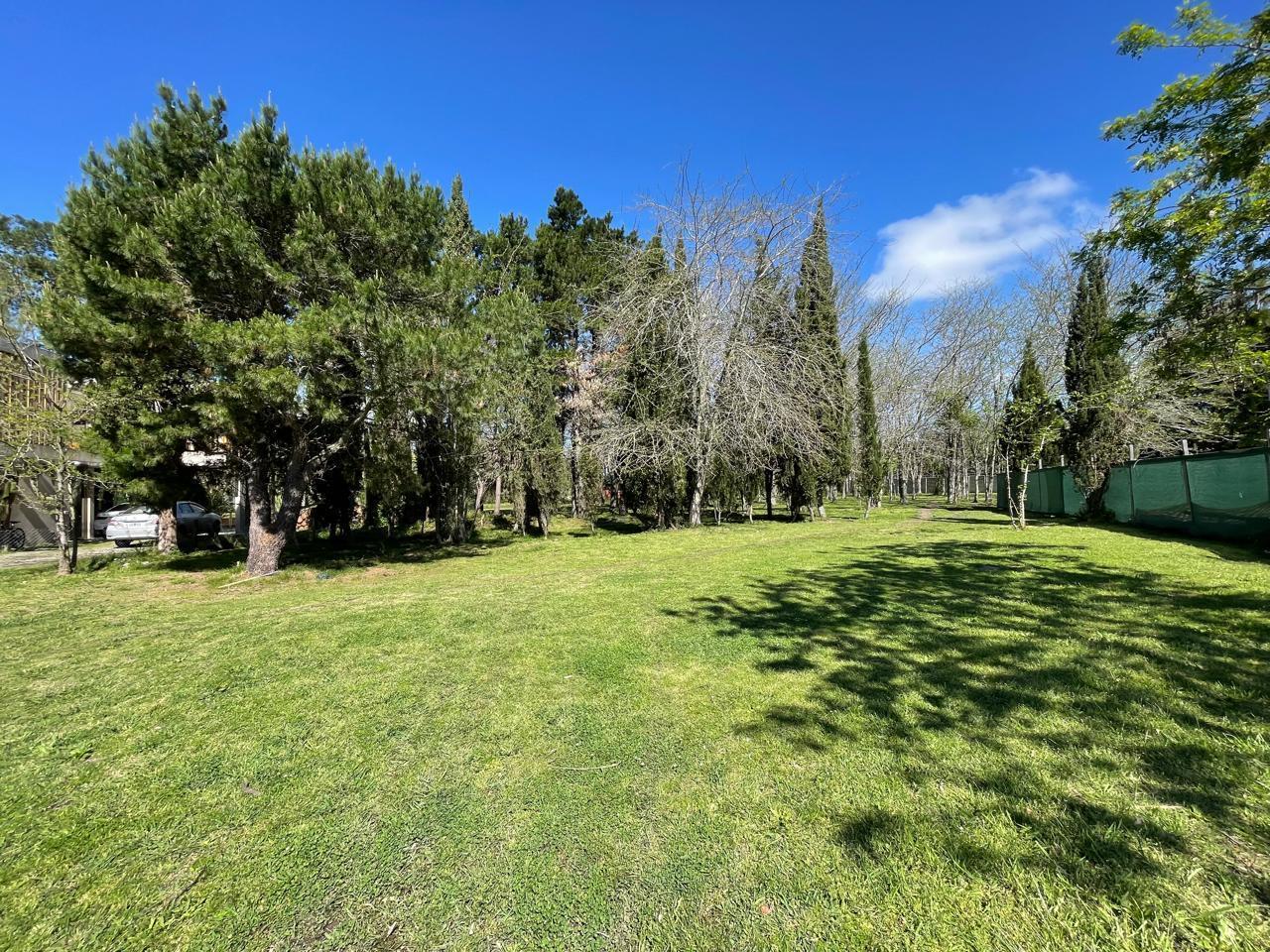 Foto de TERRENO EN VENTA GREENVILLE POLO, imagen 2