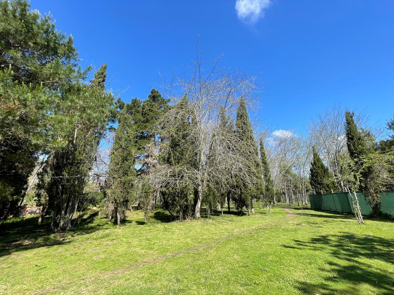 Foto de TERRENO EN VENTA GREENVILLE POLO, imagen 5