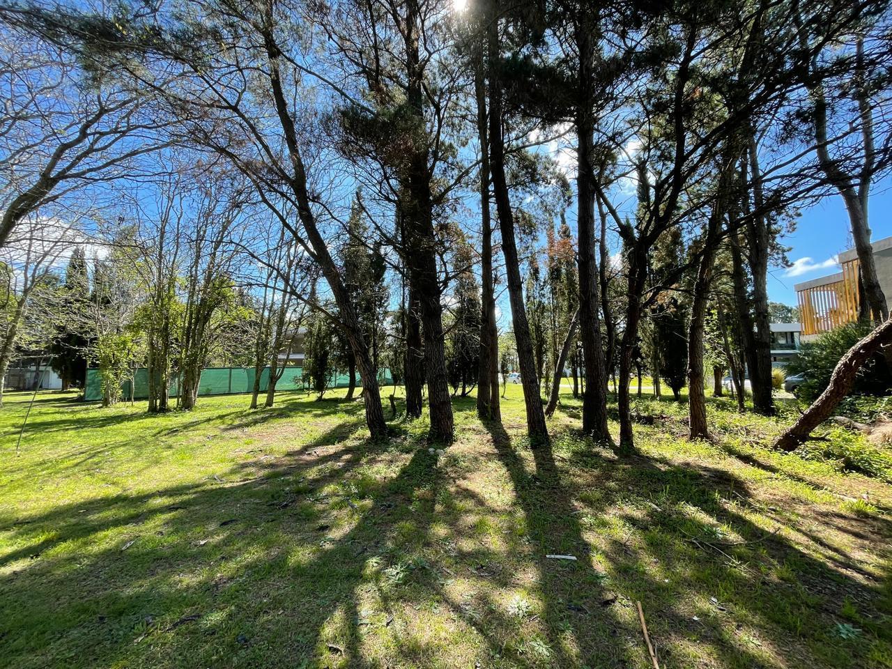 Foto de TERRENO EN VENTA GREENVILLE POLO, imagen 4