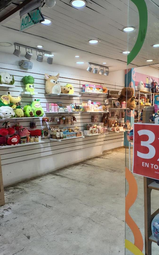Foto de Amplio local en Bernal centro, imagen 4