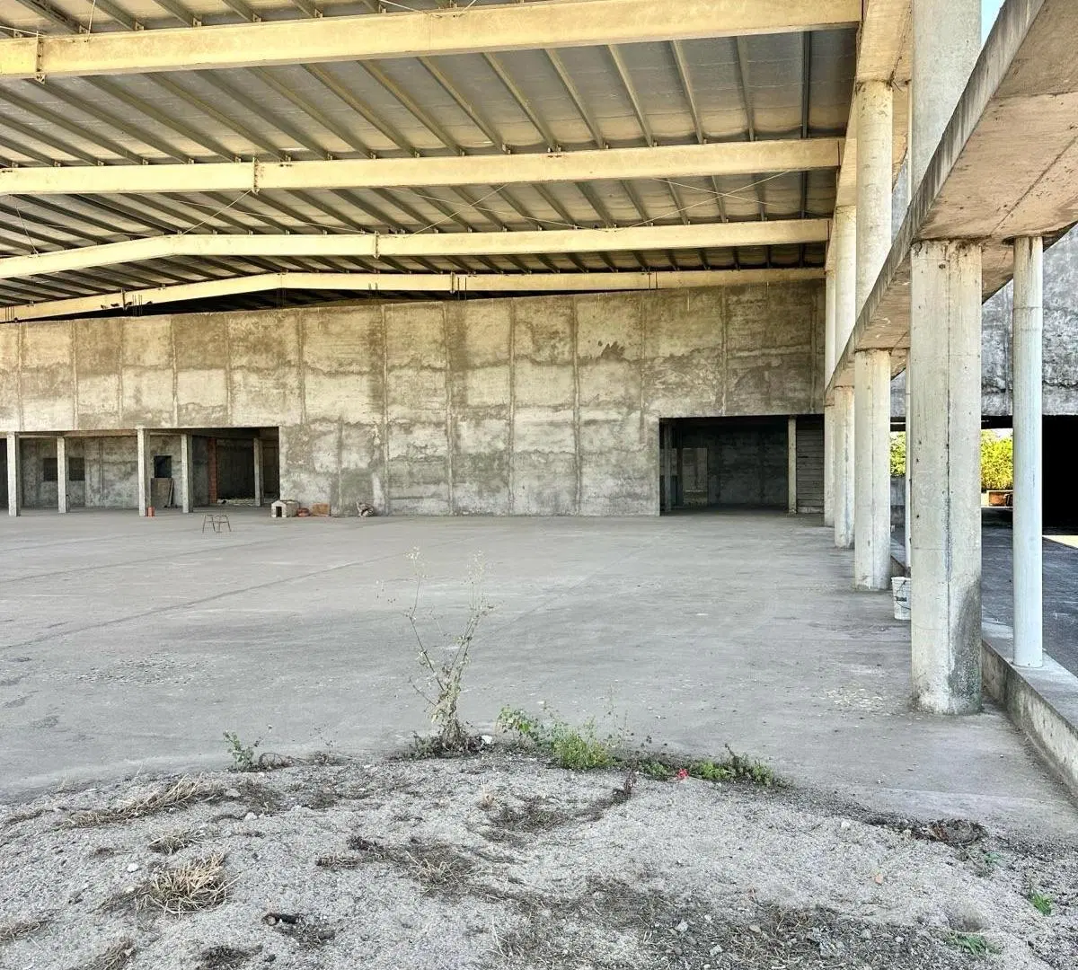 Local en Acceso a Concepción con terreno de 5300 m2 3
