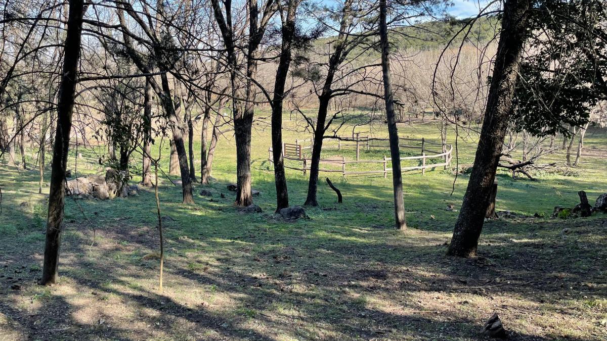 Venta de Terrenos - Loteo en Salsipuedes 5