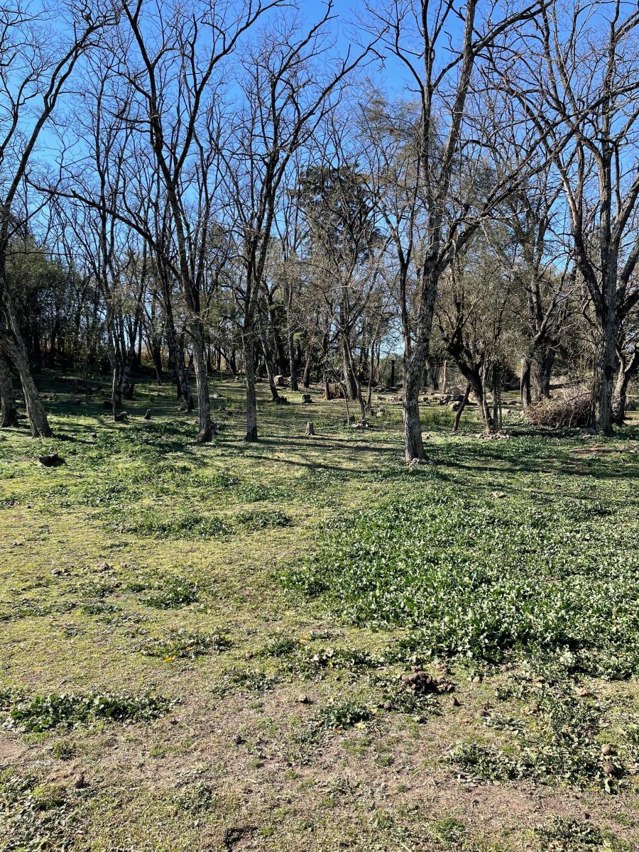 Venta de Terrenos - Loteo en Salsipuedes 2