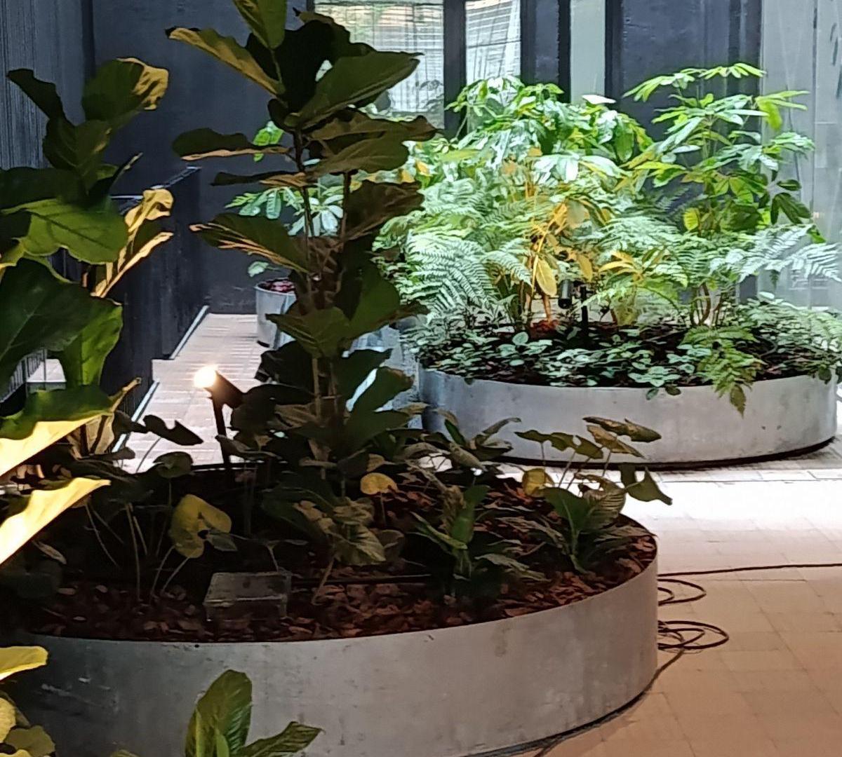 Foto de Departamento en Belgrano Chico, imagen 3