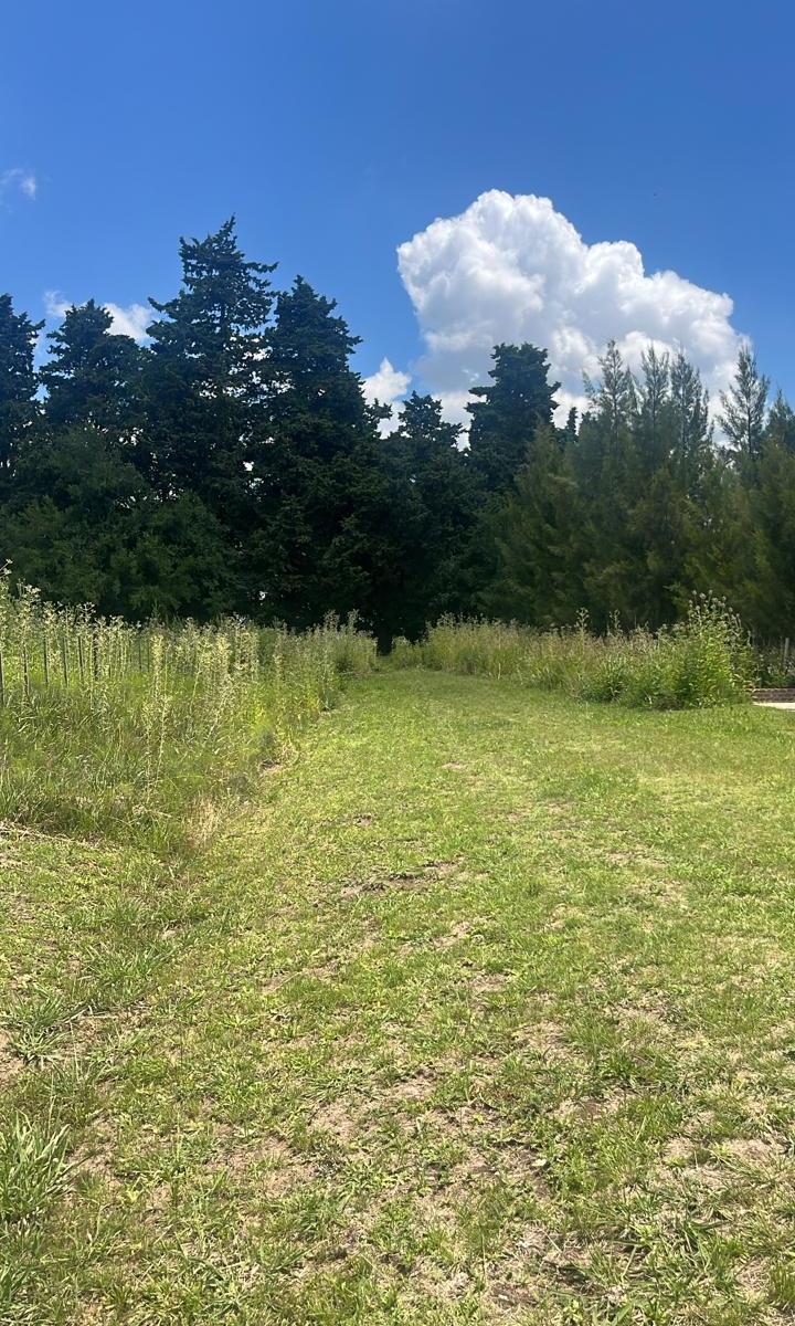 Terreno en venta en Chascomus
