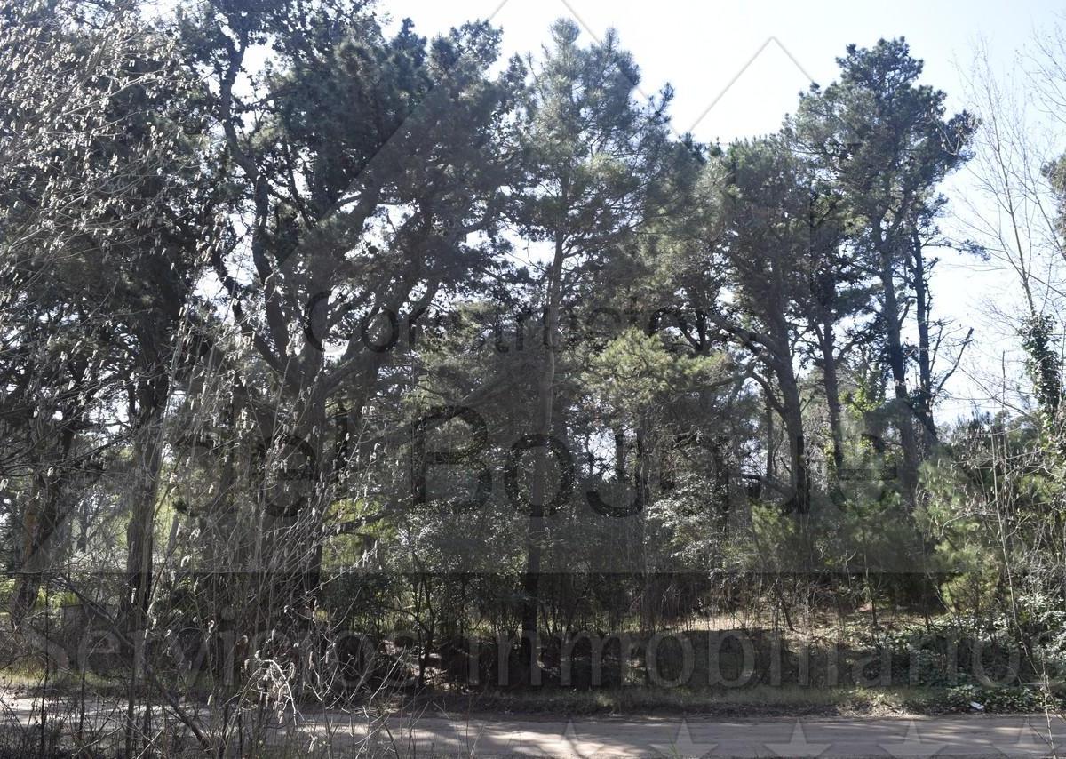Proyecto de Obra a Estrenar. Entrega Estimada Abril 2025 (Cod - 1048) 1