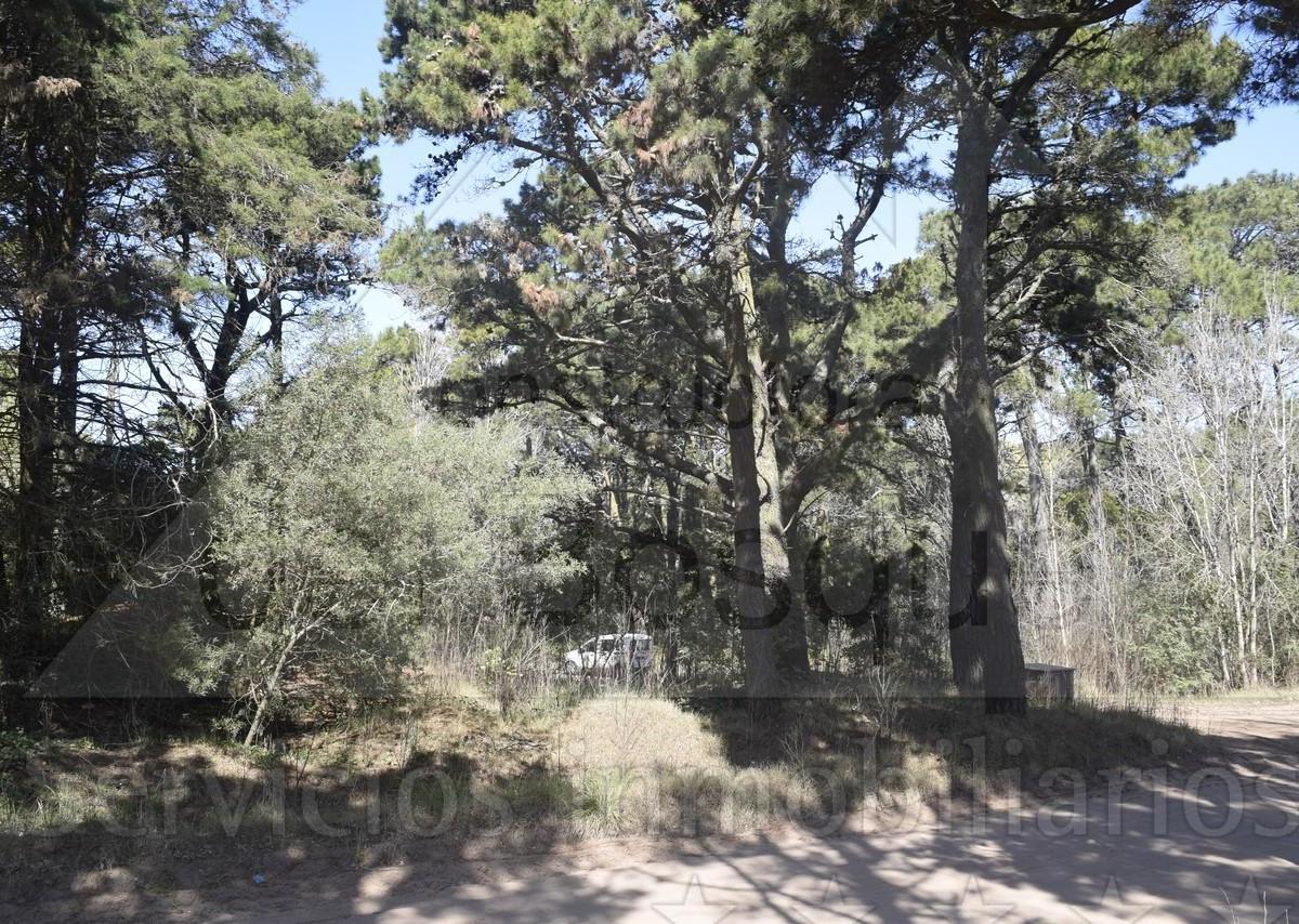Proyecto de Obra a Estrenar. Entrega Estimada Abril 2025 (Cod - 1048) 5
