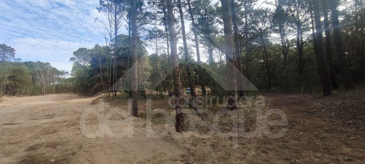 Lote unifamiliar en esquina en nuevo desarrollo Los Enebros 3