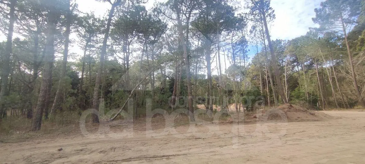 Lote unifamiliar en esquina en nuevo desarrollo Los Enebros 2