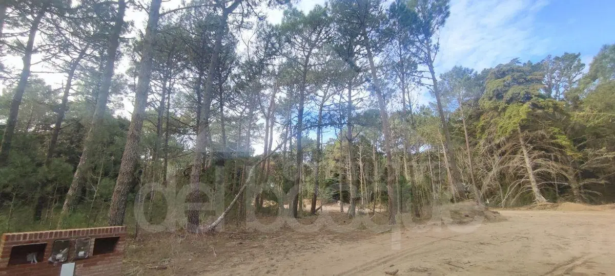 Lote unifamiliar en esquina en nuevo desarrollo Los Enebros 5