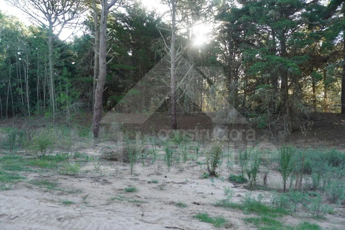 Lote unifamiliar en esquina ubicado en Barrio Los Enebros 2
