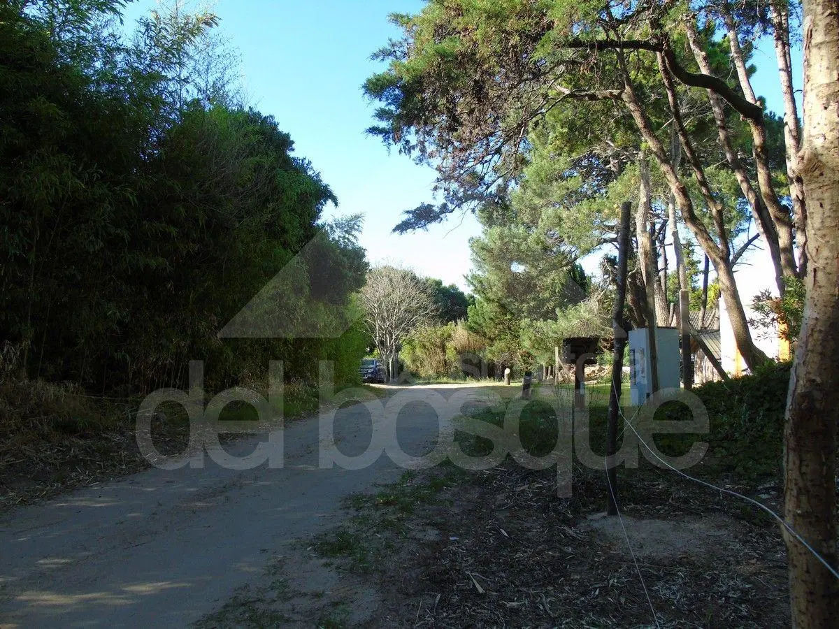 Lote unifamiliar en Cul de Sac, cercano al mar 3
