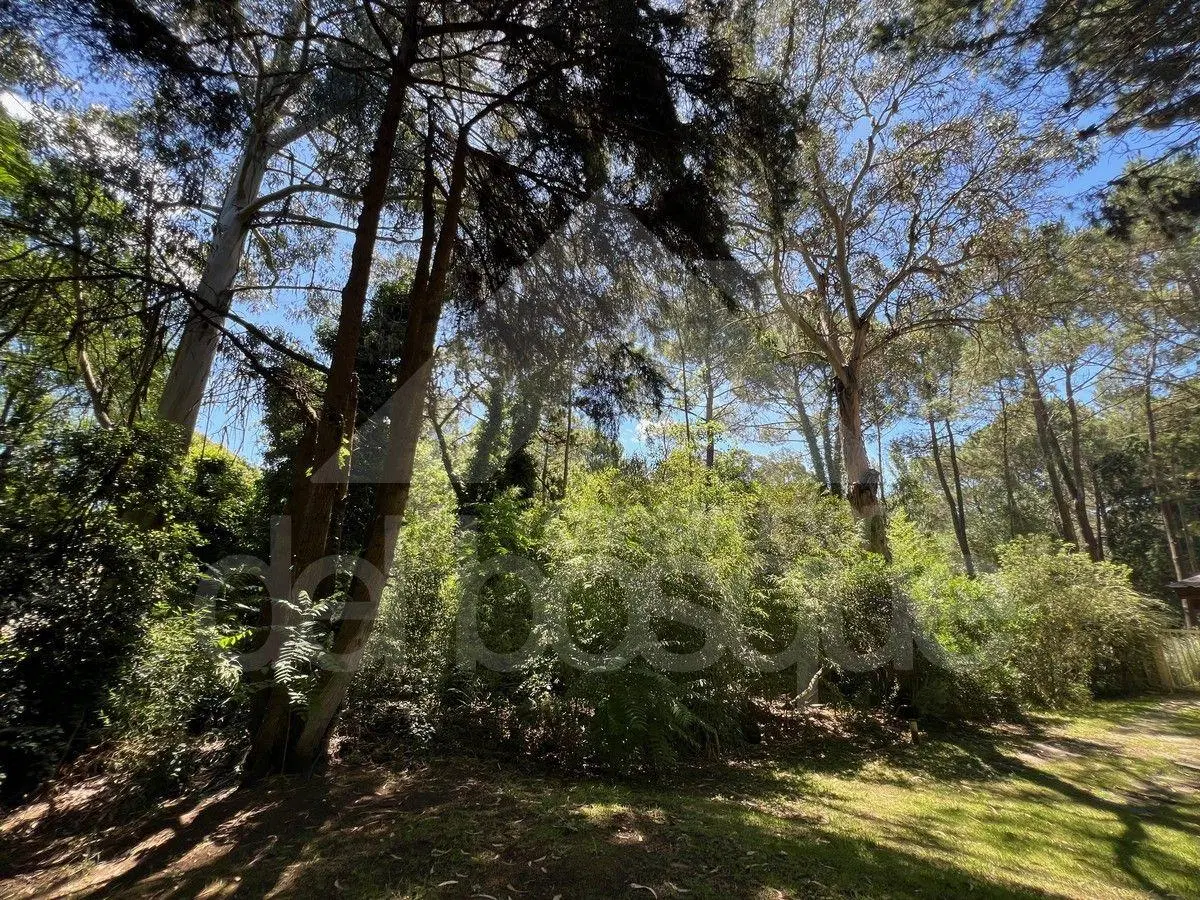 Lote unifamiliar en esquina, totalmente cercado 5