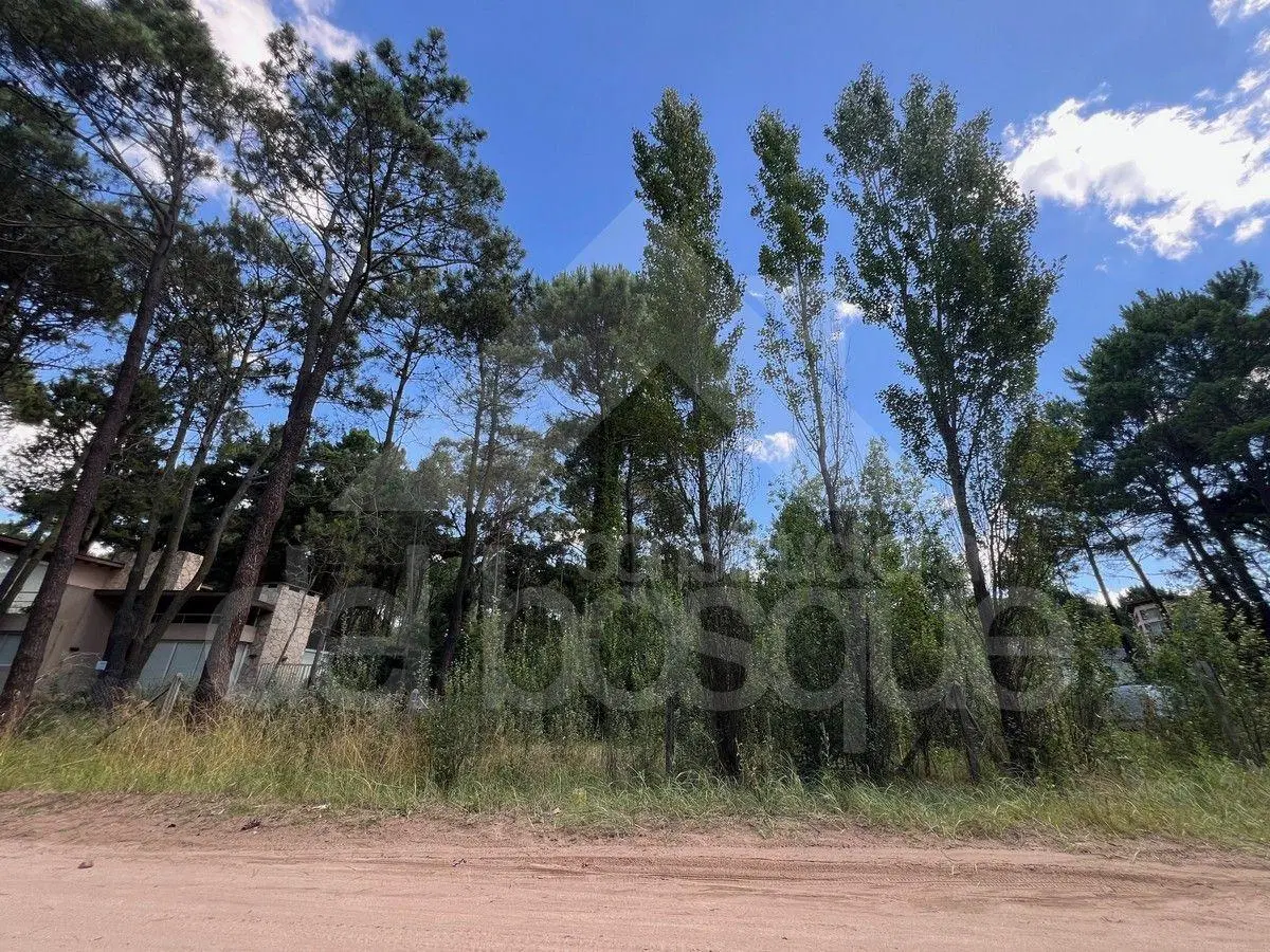 Lote unifamiliar en esquina, totalmente cercado 8