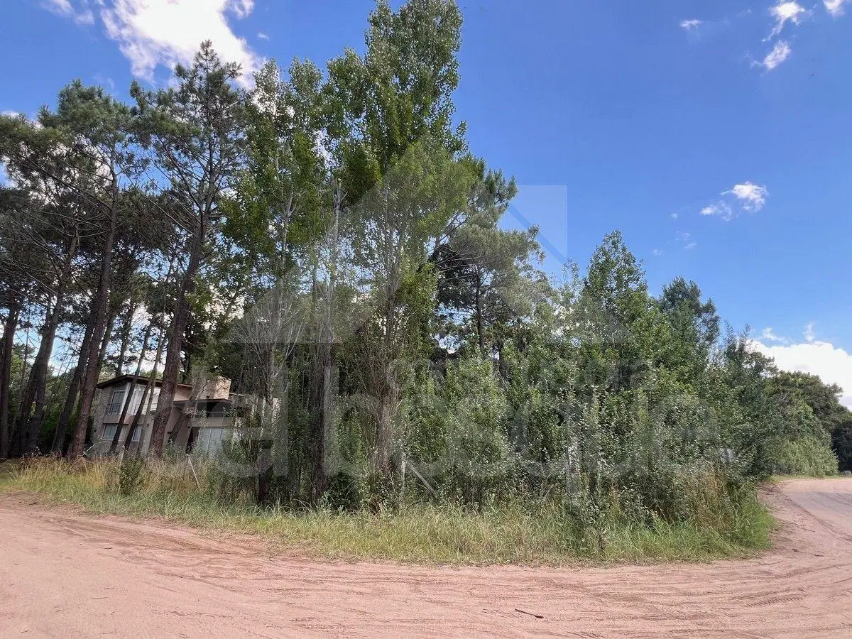 Lote unifamiliar en esquina, totalmente cercado 4
