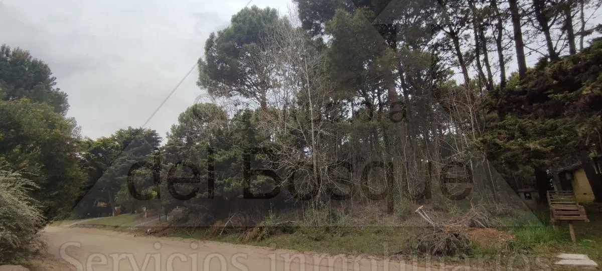 Lote unifamiliar a la venta ubicado sobre calle Divisadero a tan solo 3 cuadras de la playa. 4