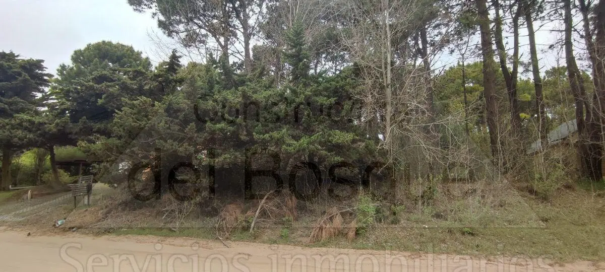 Lote unifamiliar a la venta ubicado sobre calle Divisadero a tan solo 3 cuadras de la playa. 2