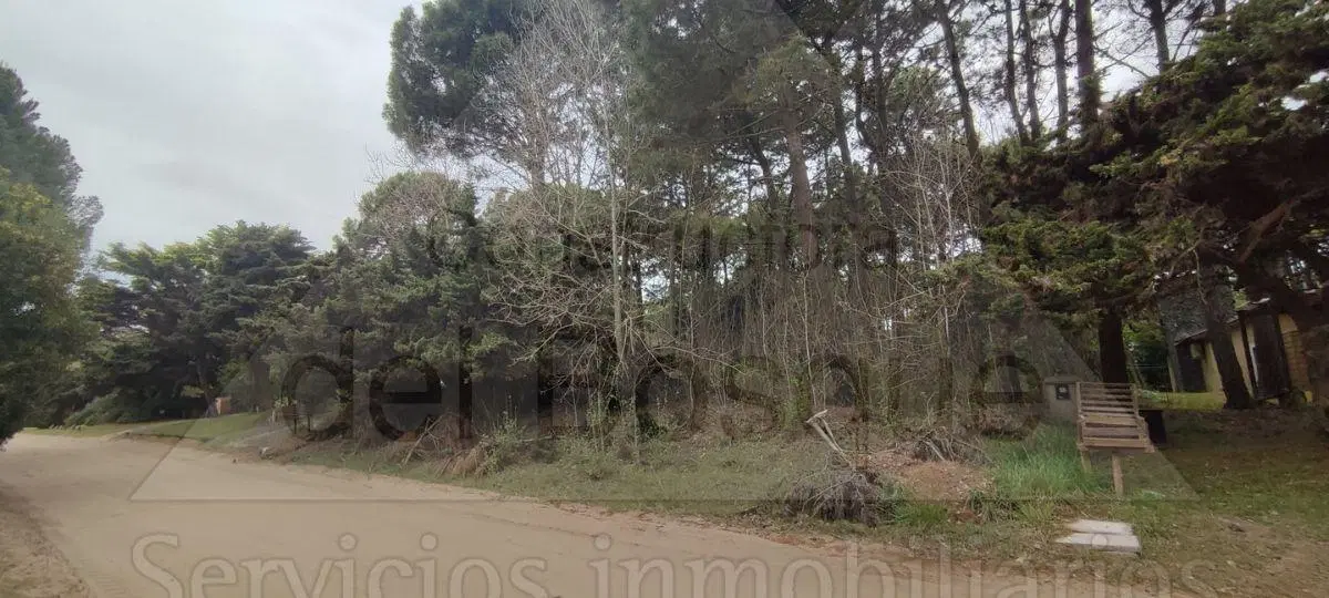 Lote unifamiliar a la venta ubicado sobre calle Divisadero a tan solo 3 cuadras de la playa. 3