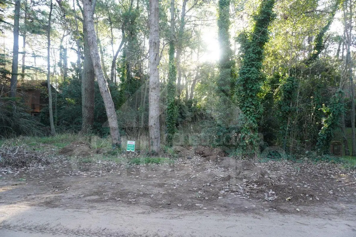 Lote con hermoso entorno 4