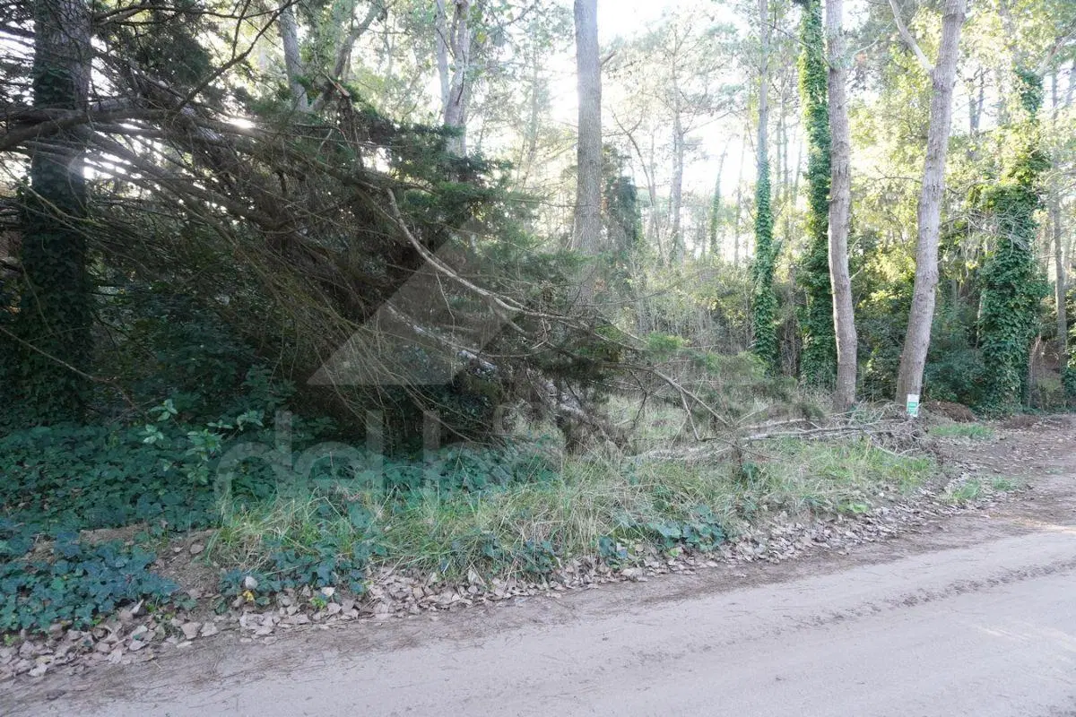 Lote con hermoso entorno 3