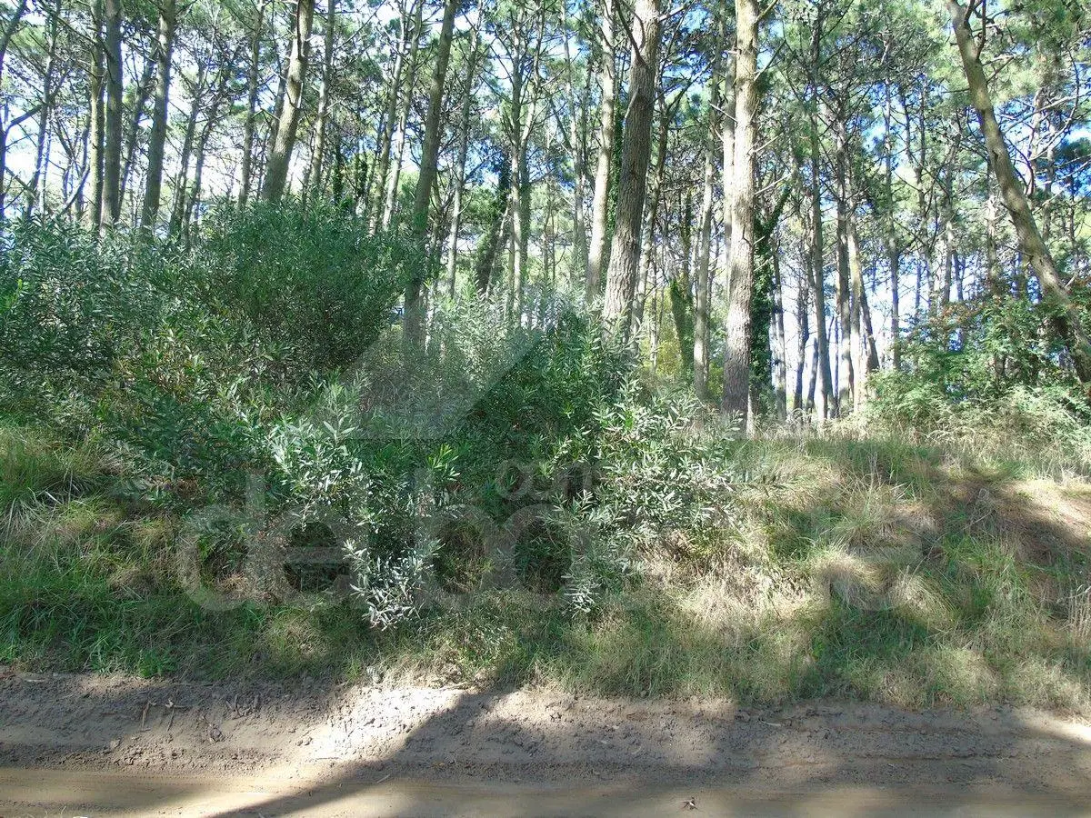 Lote unifamiliar cercano al mar 2