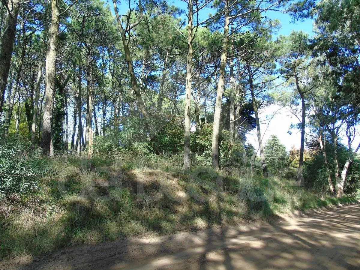 Lote unifamiliar cercano al mar 5