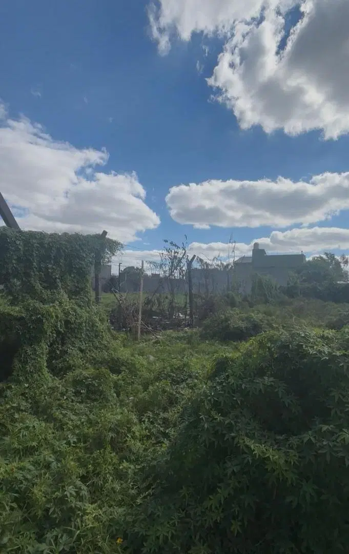 VENTA DE 2 LOTES JUNTOS EN FORMA DE L EN TOTAL 679MTS2 4
