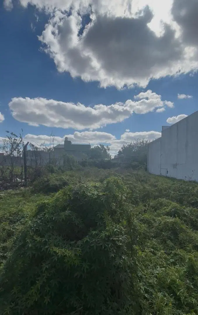 VENTA DE 2 LOTES JUNTOS EN FORMA DE L EN TOTAL 679MTS2 1