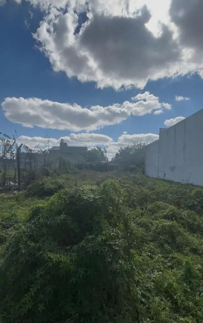 VENTA DE 2 LOTES JUNTOS EN FORMA DE L EN TOTAL 679MTS2 3