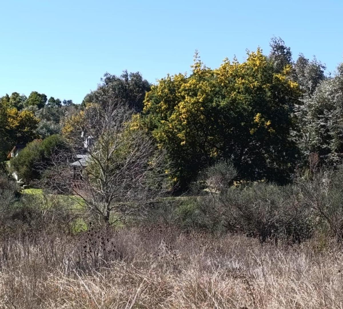 Excelente Fracción - 1,6ha Mejor Zona Tandil 5