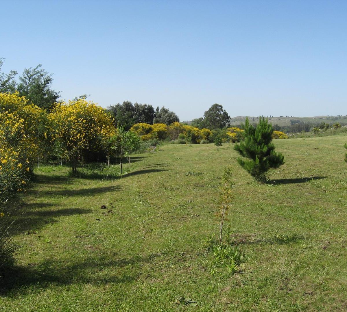 Excelente Fracción - 1,6ha Mejor Zona Tandil 2
