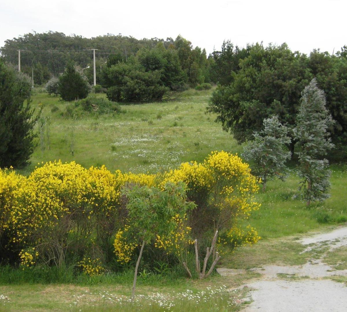 Excelente Fracción - 1,6ha Mejor Zona Tandil 4