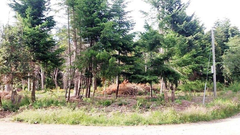 Terreno Lote en Venta Ubicado en Villa Campanario, Bariloche 4