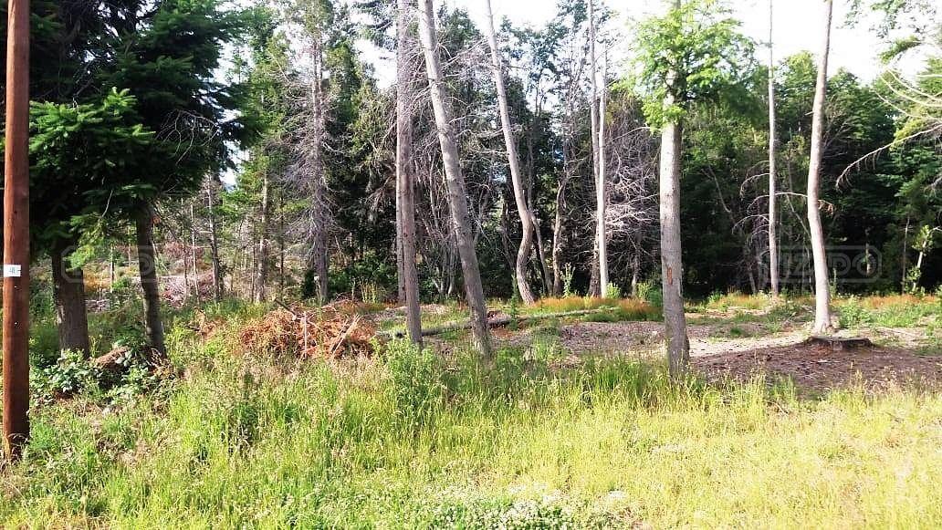 Terreno Lote en Venta Ubicado en Villa Campanario, Bariloche 2