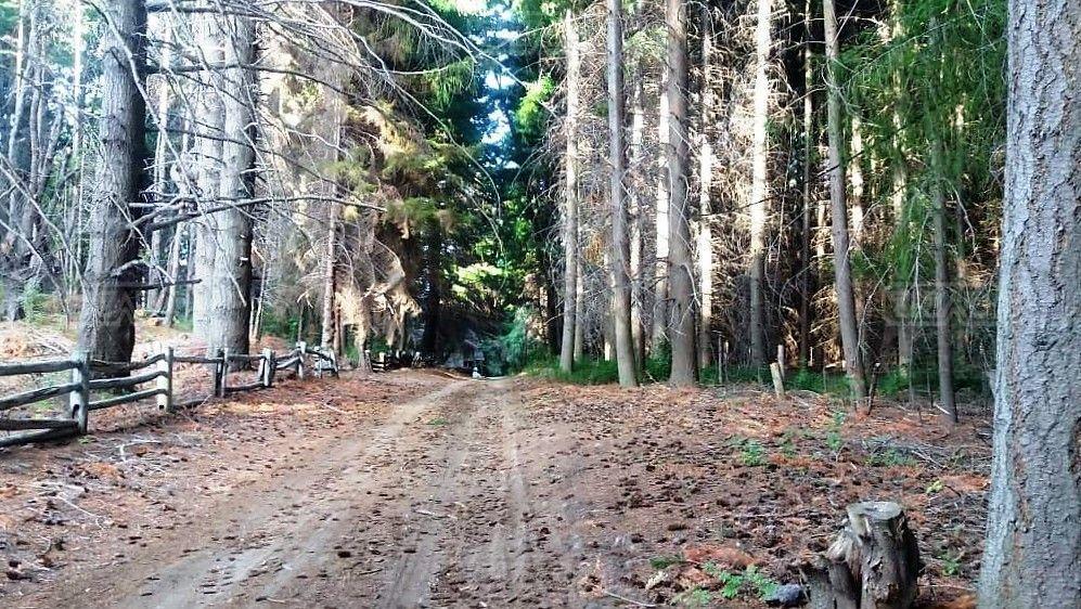 Terreno Lote en Venta Ubicado en Villa Campanario, Bariloche 3