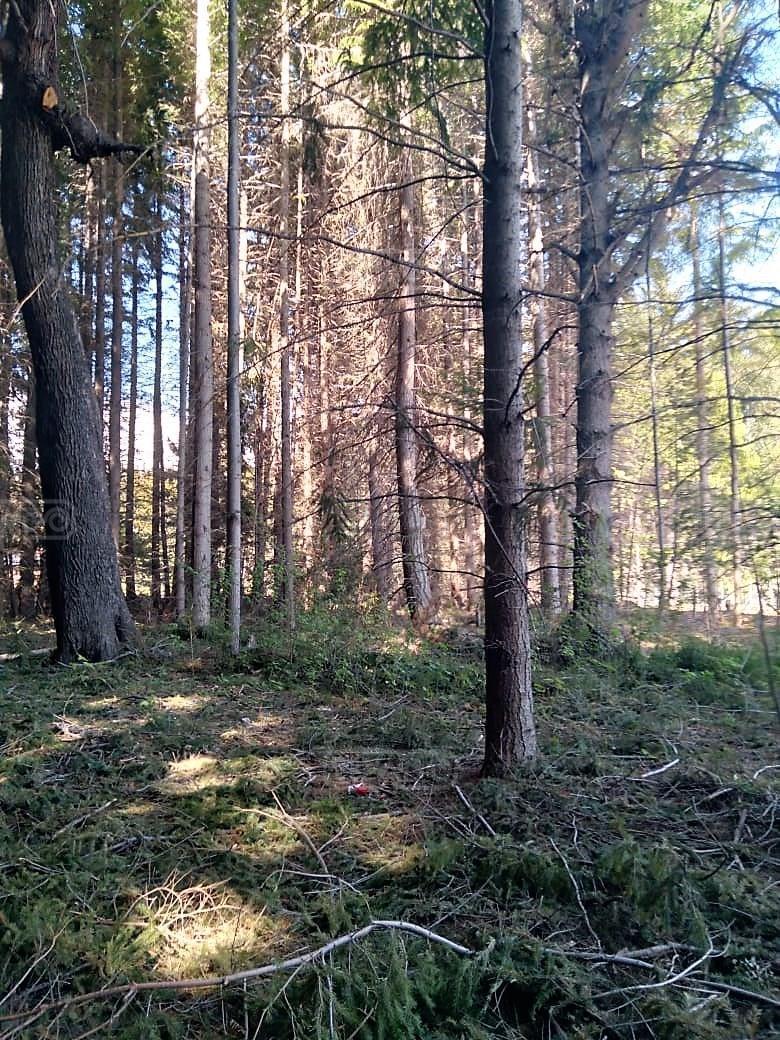 Terreno Lote en Venta Ubicado en Villa Campanario, Bariloche 1