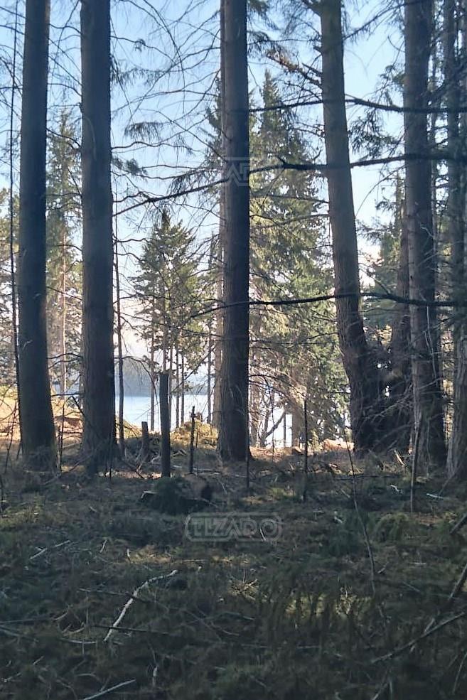 Terreno Lote en Venta Ubicado en Villa Campanario, Bariloche 4