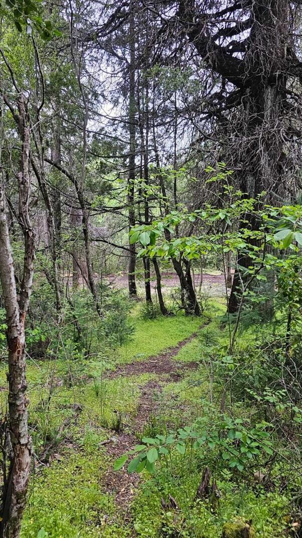 Foto de Terreno Lote en Venta en Bariloche, Patagonia, Argentina, imagen 4