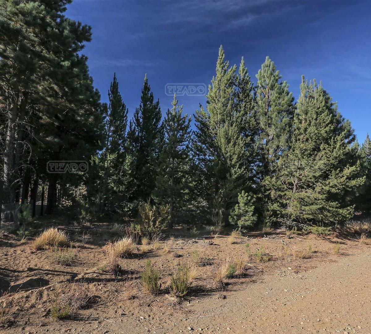 Foto de Terreno Lote en Venta ubicado en Dos Valles, Bariloche, imagen 5
