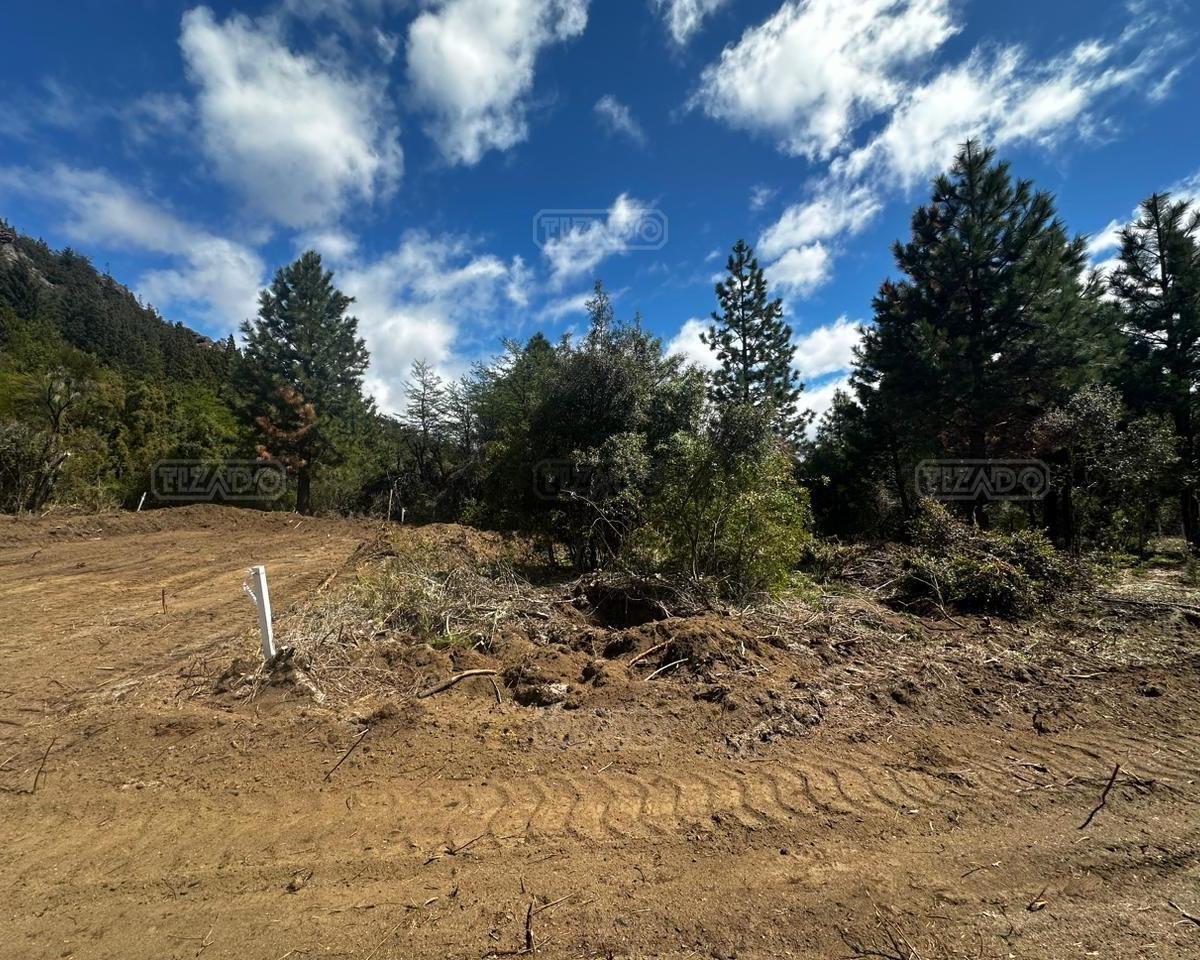 Foto de Terreno Lote en Venta en Pájaro Azul, Bariloche, Patagonia, imagen 3