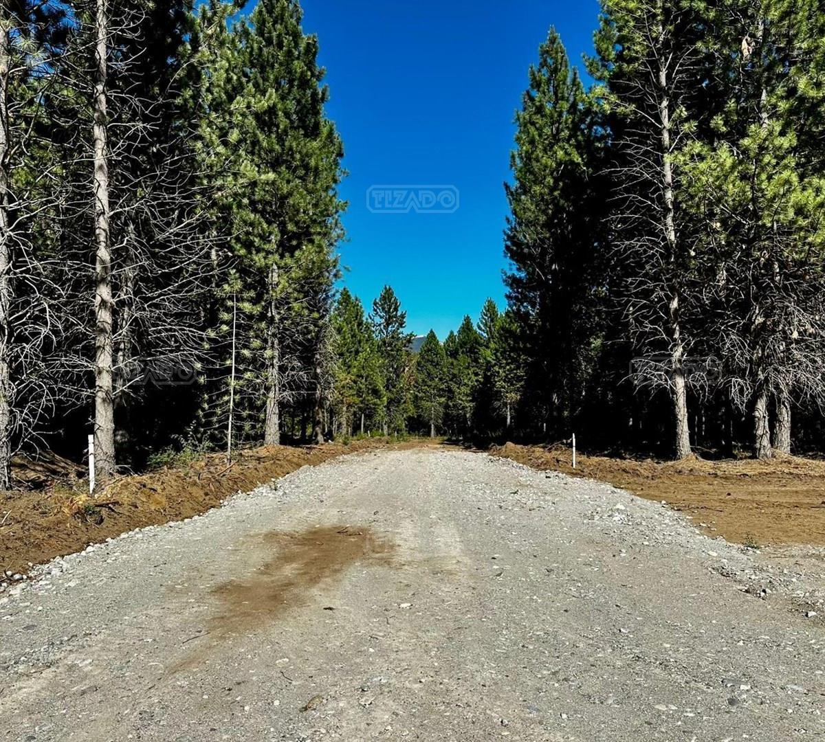 Foto de Terreno Lote en Venta en Pájaro Azul, Bariloche, Patagonia, imagen 4