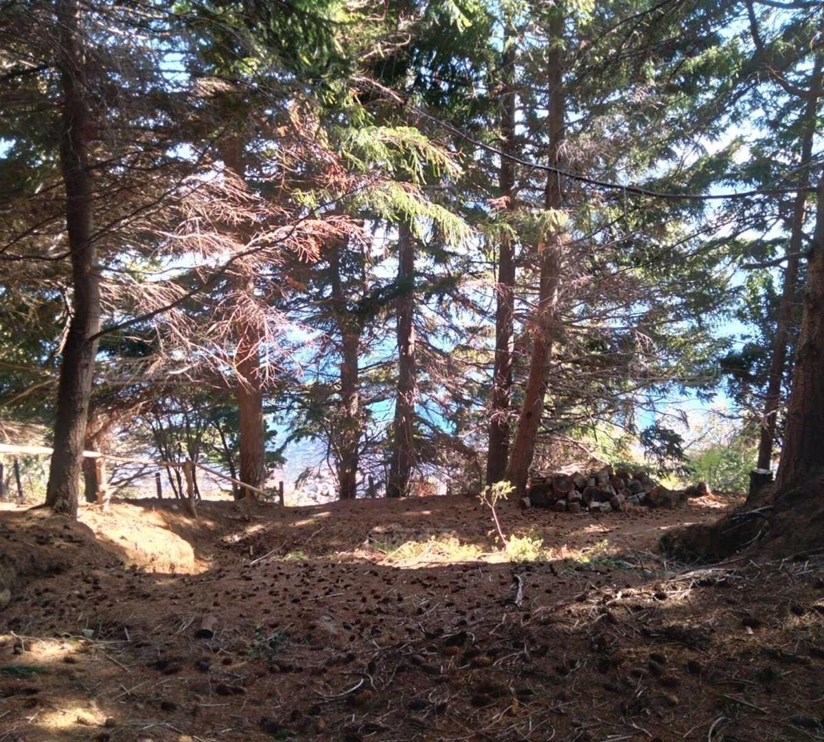 Terreno Lote en Venta en Villa Campanario, Bariloche, Patagonia 5