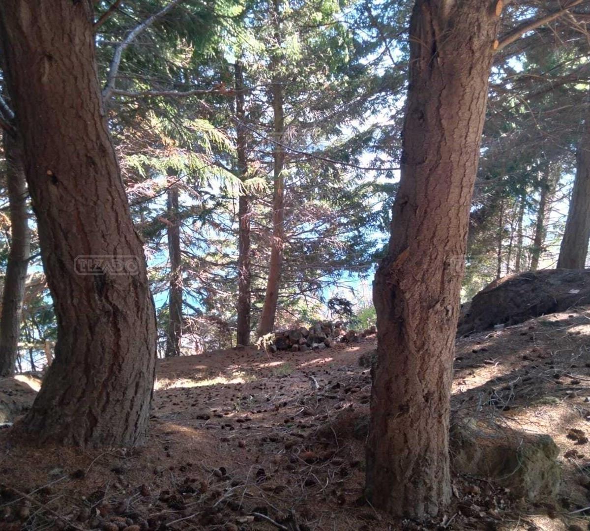 Terreno Lote en Venta en Villa Campanario, Bariloche, Patagonia 4