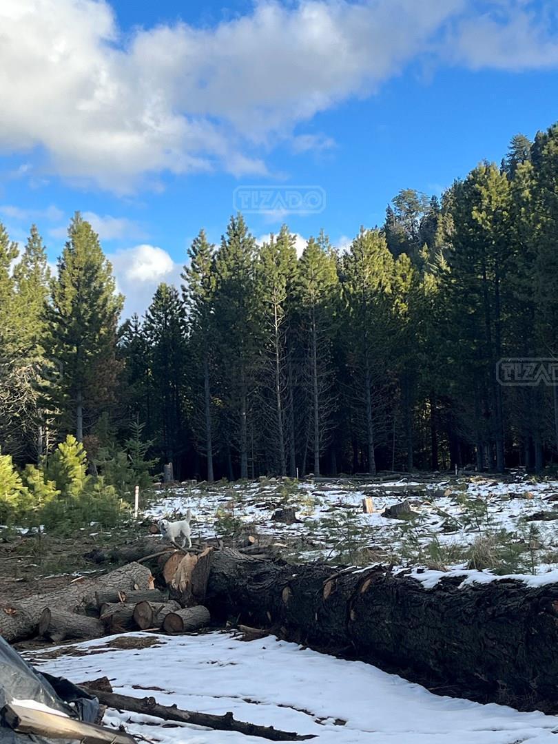 Foto de Terreno Lote en Venta en Villa Campanario, Bariloche, Patagonia, imagen 3