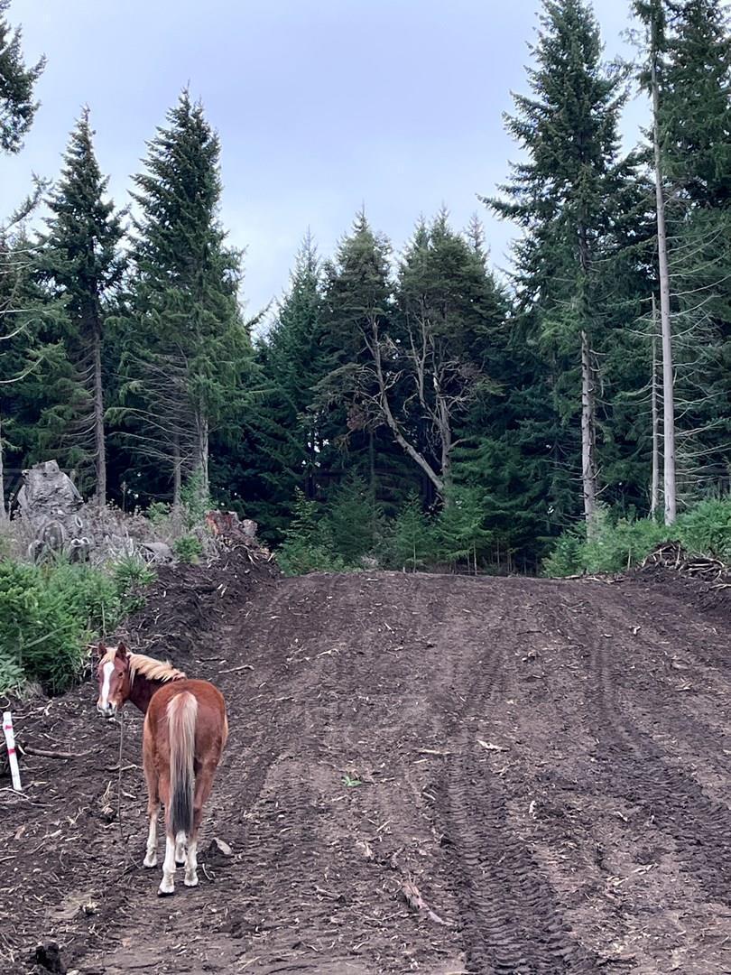 Terreno Lote en Venta en Villa Campanario, Bariloche, Patagonia 5
