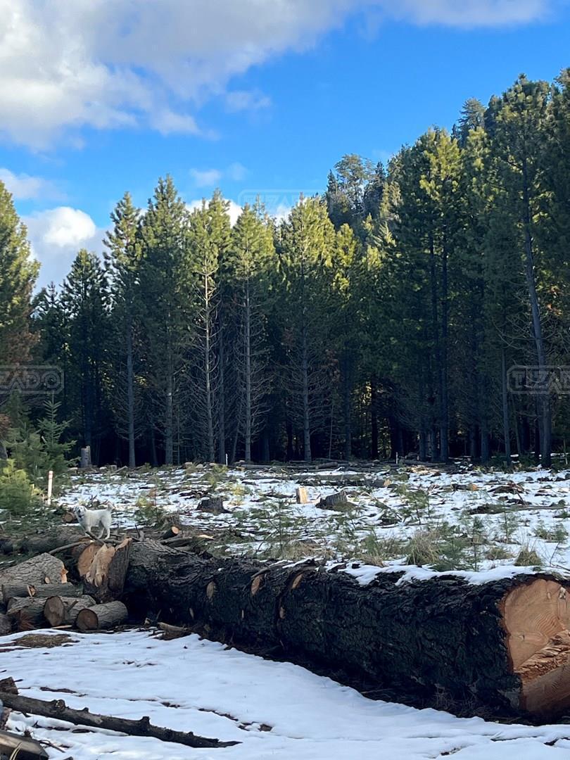 Terreno Lote en Venta en Villa Campanario, Bariloche, Patagonia 2