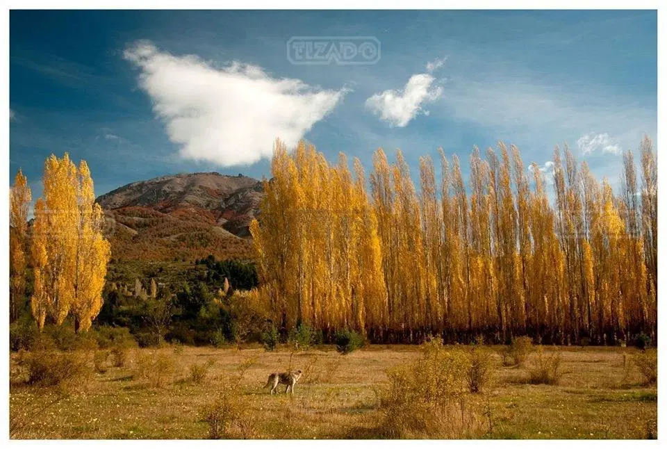 Terreno Lote  en Venta en Dos Valles, Bariloche, Patagonia 3